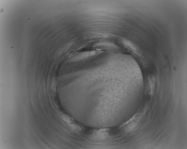 X0000062130078200512161203