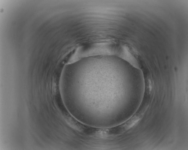 X0000062130080200512161203