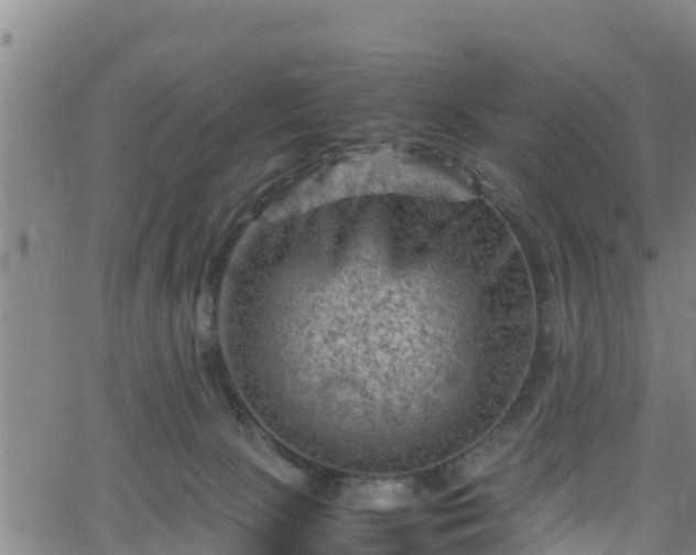 X0000062130081200512161203