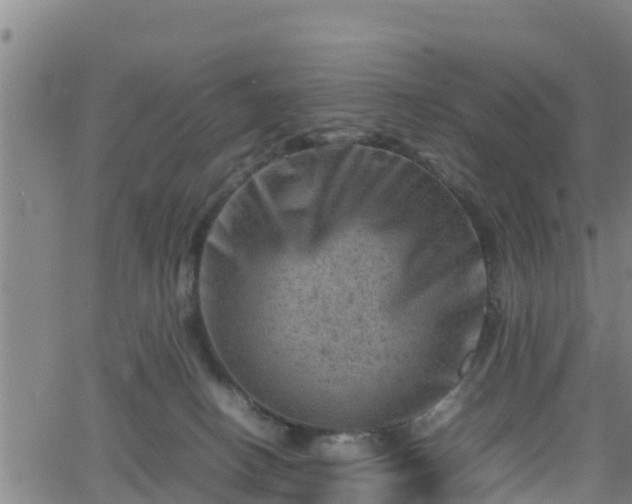 X0000062130082200512161203