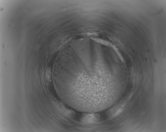 X0000062130083200512161203