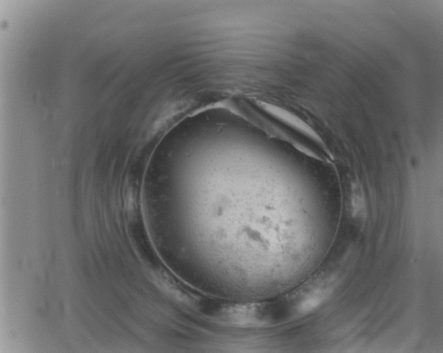 X0000062130084200512161203