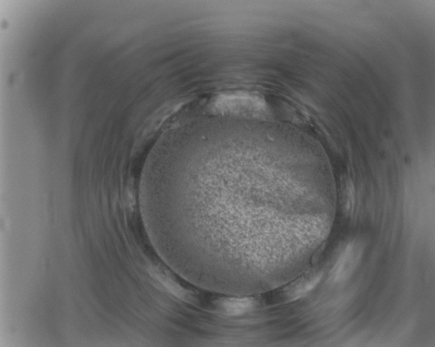 X0000062130085200512161203