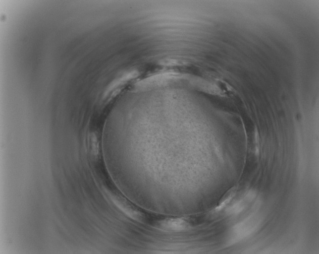 X0000062130086200512161203