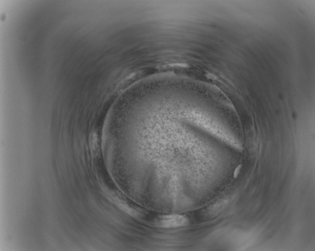 X0000062130087200512161203