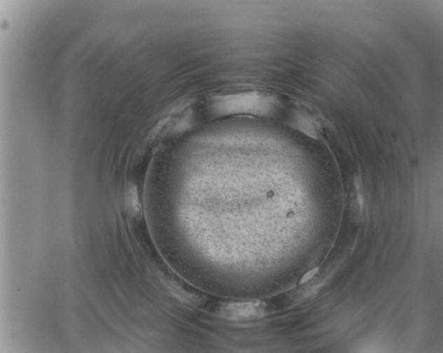 X0000062130089200512161203