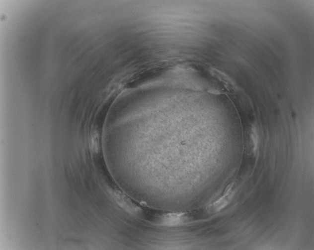 X0000062130090200512161203