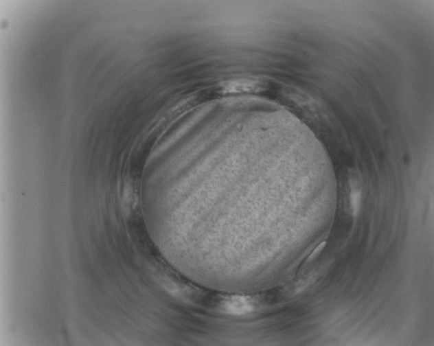 X0000062130091200512161203