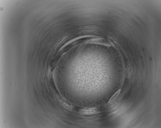 X0000062130093200512161203