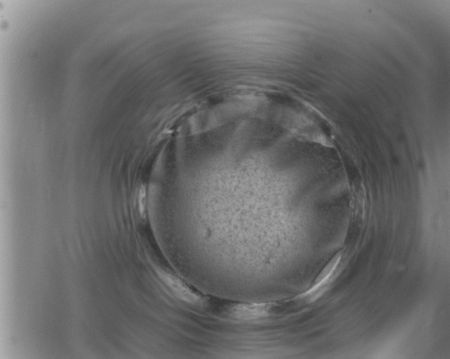 X0000062130094200512161203