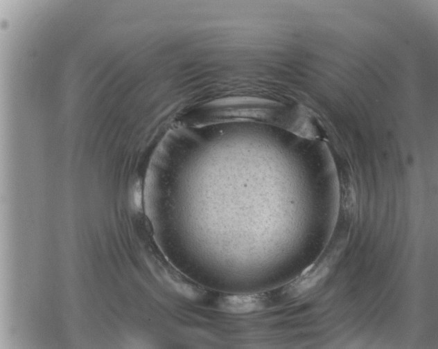 X0000062130095200512161203