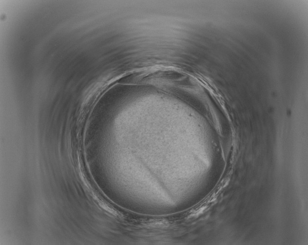 X0000062130097200512161202