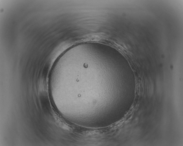 X0000062130100200512161202