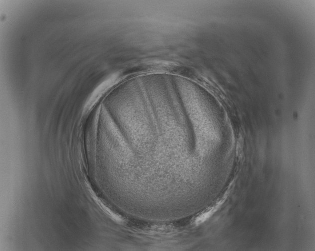 X0000062130101200512161202