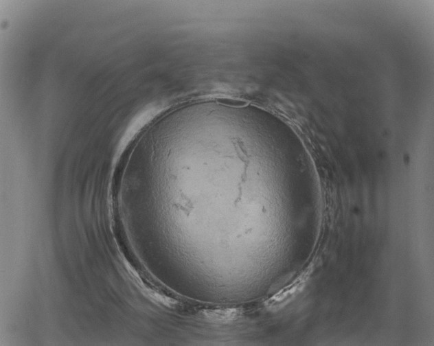 X0000062130102200512161202