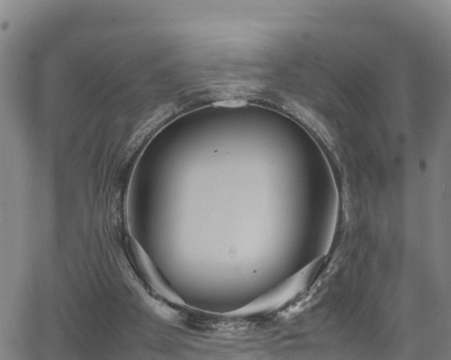 X0000062130105200512161202