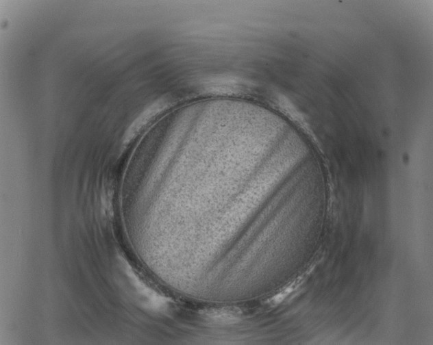 X0000062130106200512161202