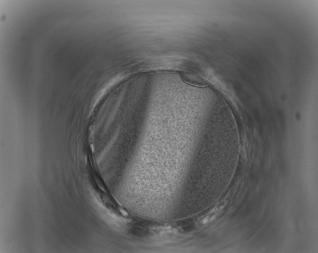 X0000062130107200512161202