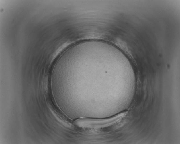 X0000062130108200512161202