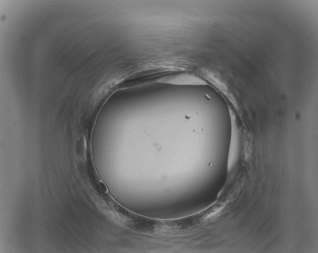 X0000062130109200512161202