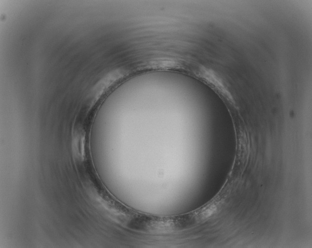 X0000062130110200512161202