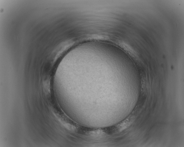 X0000062130112200512161202