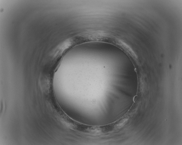 X0000062130113200512161202