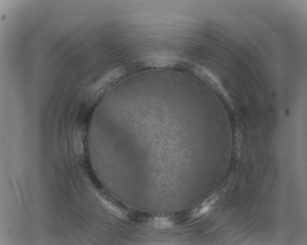 X0000062130114200512161202