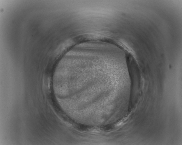 X0000062130115200512161202