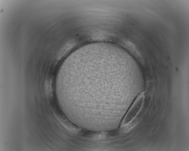 X0000062130116200512161202