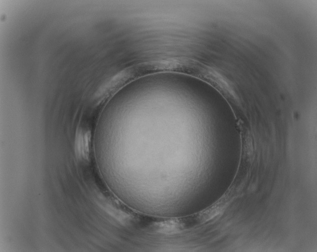 X0000062130118200512161202