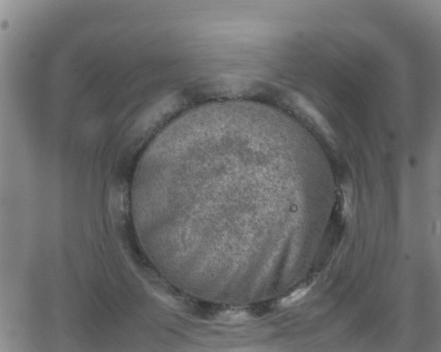 X0000062130119200512161202