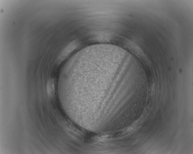 X0000062130120200512161202