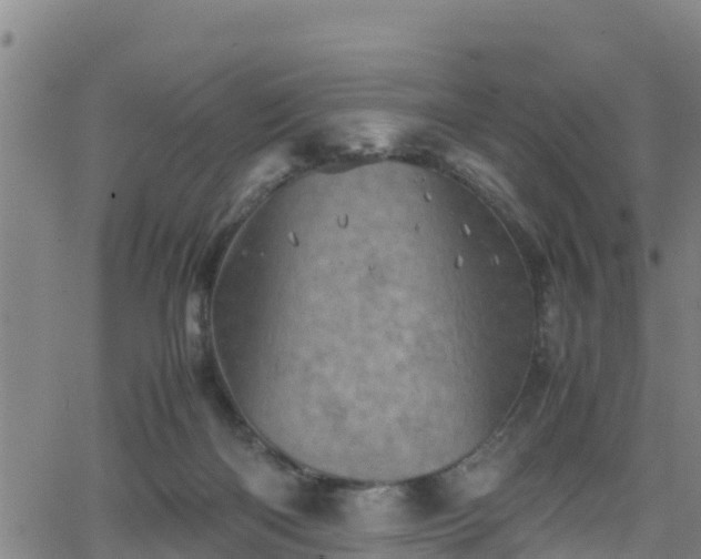 X0000062130122200512161202