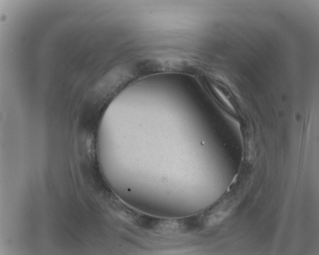 X0000062130123200512161202