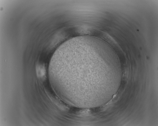 X0000062130124200512161202