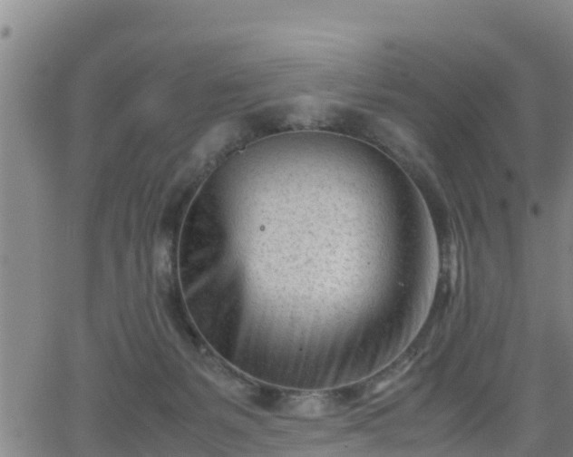 X0000062130127200512161202