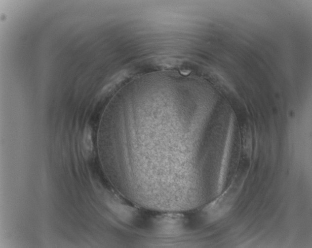 X0000062130128200512161202