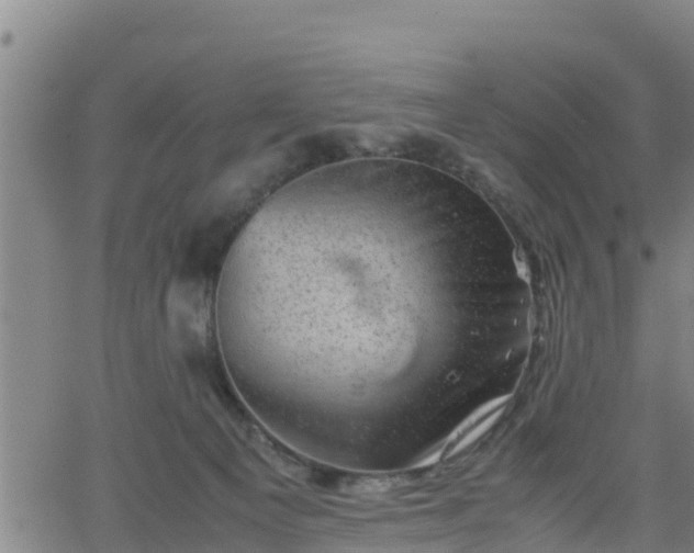 X0000062130129200512161202