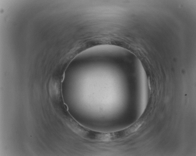 X0000062130131200512161202