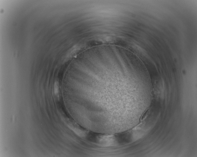 X0000062130132200512161202