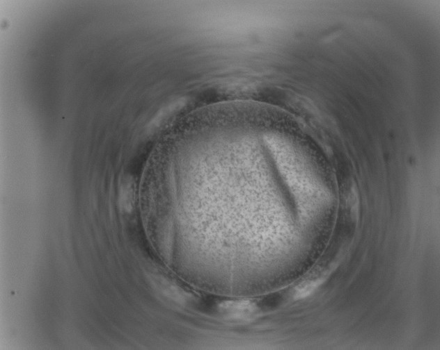 X0000062130133200512161202