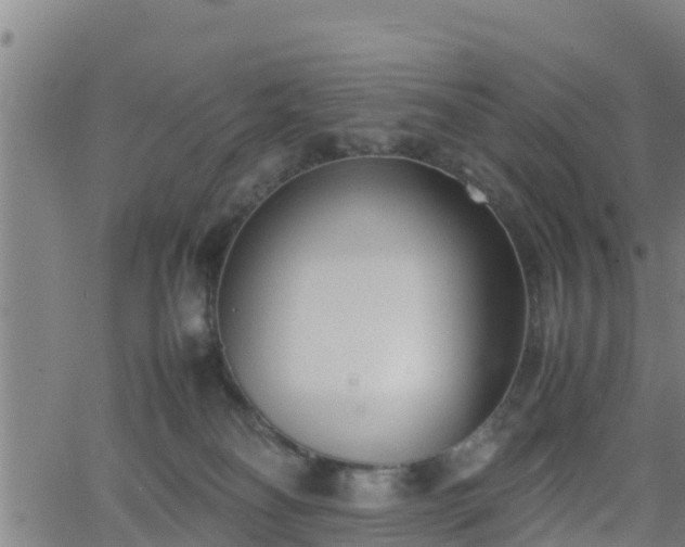 X0000062130134200512161202