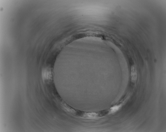 X0000062130137200512161202