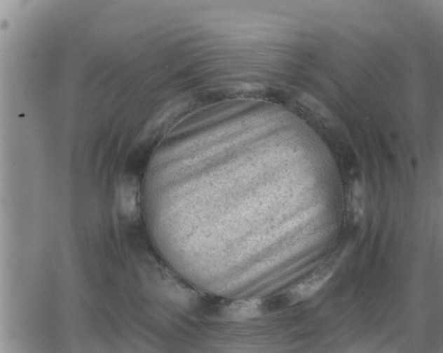 X0000062130138200512161202