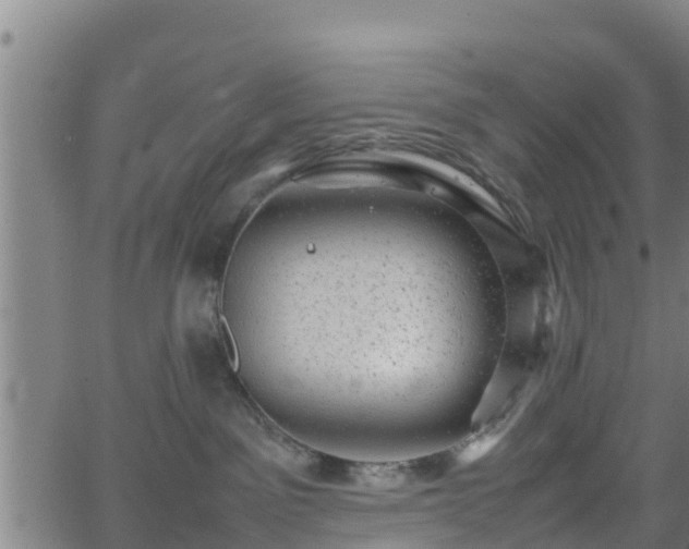 X0000062130141200512161201