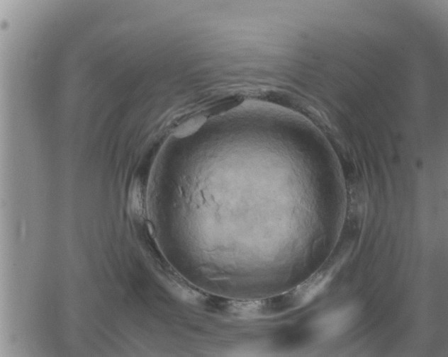 X0000062130143200512161201