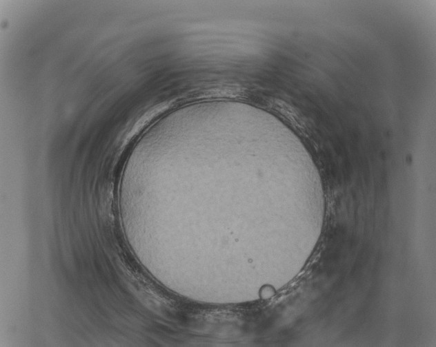 X0000062130146200512161201