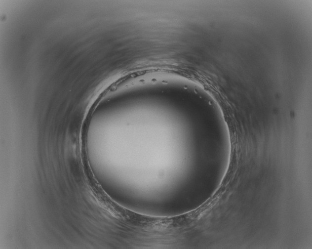 X0000062130148200512161201