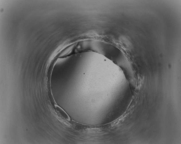 X0000062130150200512161201